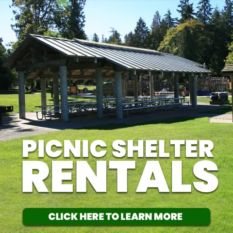 Federal Way Parks Picnic Shelter Rentals - Photo at Steel Lake Park of Picnic Shelter In Grass