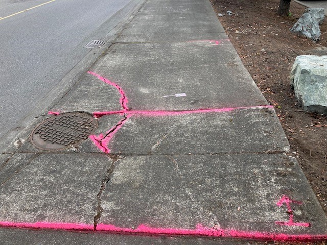 Cracked Sidewalk