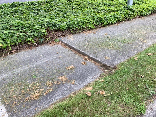 Raised Sidewalk