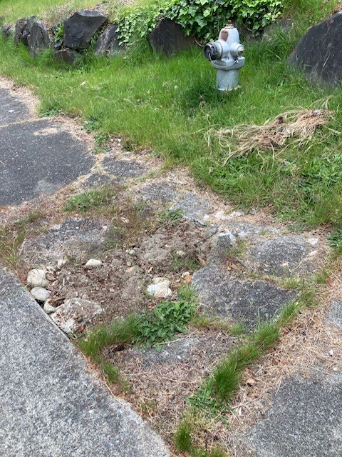 Broken sidewalk that can be kicked or moved.