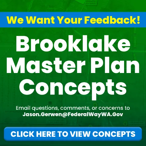 Brooklake Master Plan Concepts