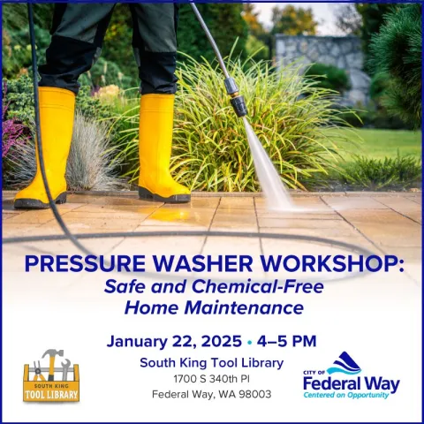 Pressure Washer Workshop