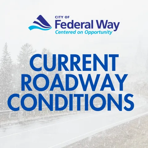 Roadway Conditions